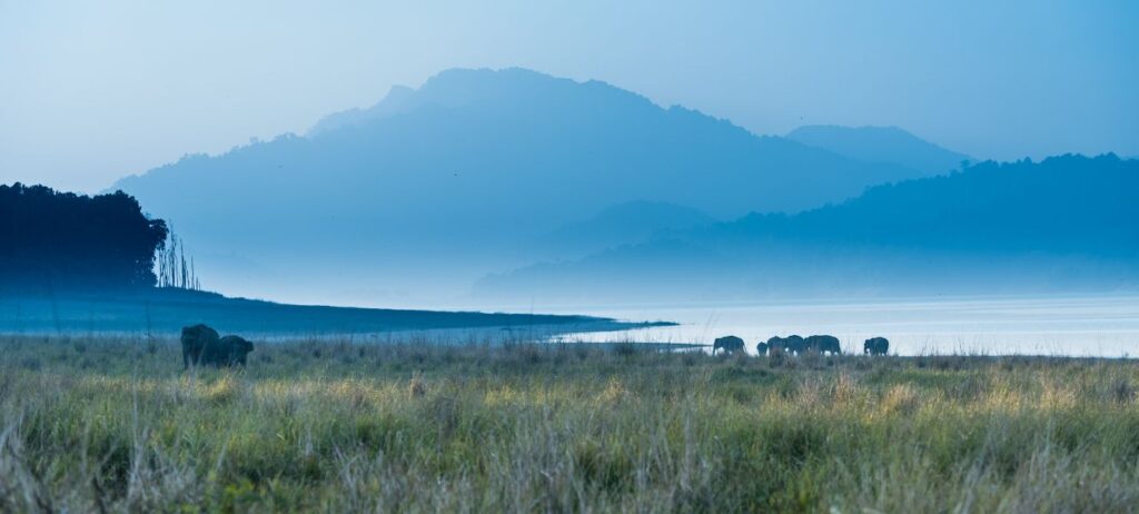 Best resort in Jim Corbett