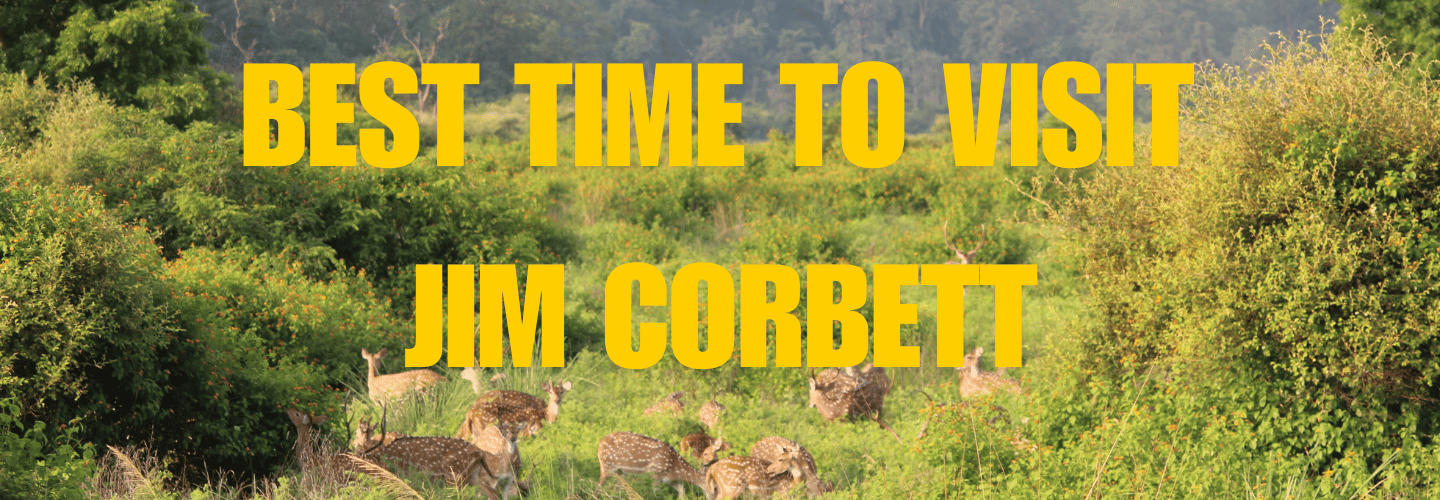 BEST TIME TO VISIT JIM CORBETT , Bellmont Caves Best 5 Star Resort In Jim Corbett