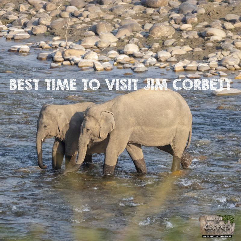 BEST TIME TO VISIT JIM CORBETT